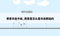 黑客攻击手段_黑客是怎么是攻击网站的