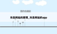 攻击网站的原理_攻击网站的app