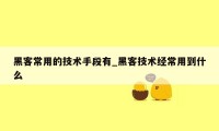 黑客常用的技术手段有_黑客技术经常用到什么