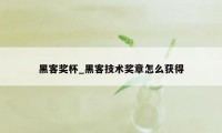 黑客奖杯_黑客技术奖章怎么获得