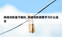 网络攻防是干嘛的_网络攻防需要学习什么语言