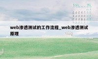 web渗透测试的工作流程_web渗透测试原理