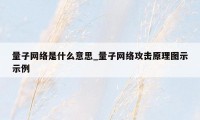 量子网络是什么意思_量子网络攻击原理图示示例