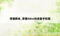 穿盾脚本_穿盾ddos攻击器手机版