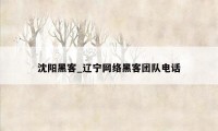 沈阳黑客_辽宁网络黑客团队电话