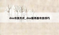 dns攻击方式_dns服务器攻击技巧