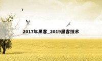 2017年黑客_2019黑客技术