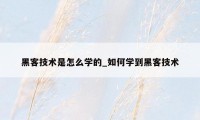 黑客技术是怎么学的_如何学到黑客技术