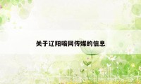 关于辽阳暗网传媒的信息