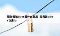 服务器被ddos是什么意思_服务器ddos攻击ip