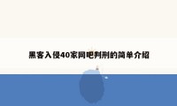 黑客入侵40家网吧判刑的简单介绍