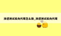 渗透测试反向代理怎么做_渗透测试反向代理