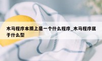 木马程序本质上是一个什么程序_木马程序属于什么型