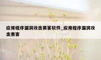 应用程序漏洞攻击黑客软件_应用程序漏洞攻击黑客