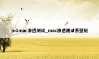 m1mac渗透测试_mac渗透测试系壁纸