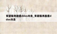 育碧服务器遭ddos攻击_育碧服务器遭ddos攻击