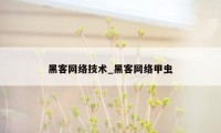 黑客网络技术_黑客网络甲虫