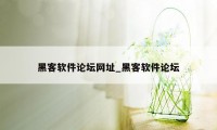 黑客软件论坛网址_黑客软件论坛