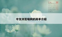 中文浏览暗网的简单介绍