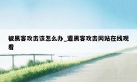 被黑客攻击该怎么办_遭黑客攻击网站在线观看