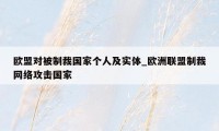 欧盟对被制裁国家个人及实体_欧洲联盟制裁网络攻击国家