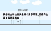 网络安全和信息安全哪个属于黑客_网络安全是不是就是黑客