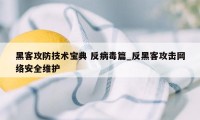 黑客攻防技术宝典 反病毒篇_反黑客攻击网络安全维护