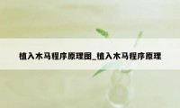 植入木马程序原理图_植入木马程序原理