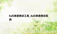 kali渗透测试工具_kali渗透测试实战