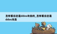 怎样看日志是ddos攻击的_怎样看日志是ddos攻击