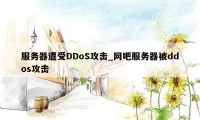 服务器遭受DDoS攻击_网吧服务器被ddos攻击