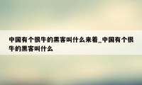 中国有个很牛的黑客叫什么来着_中国有个很牛的黑客叫什么