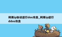 利用ip协议进行dos攻击_利用ip进行ddos攻击