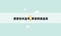 黑客技术盗号_黑客网络盗用