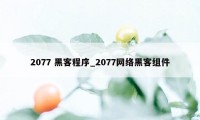 2077 黑客程序_2077网络黑客组件