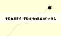 学校有黑客吗_学校流行的黑客软件叫什么