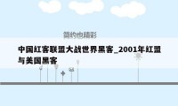 中国红客联盟大战世界黑客_2001年红盟与美国黑客