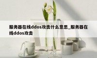 服务器在线ddos攻击什么意思_服务器在线ddos攻击