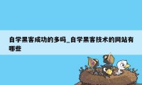 自学黑客成功的多吗_自学黑客技术的网站有哪些