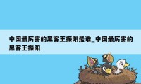 中国最厉害的黑客王振阳是谁_中国最厉害的黑客王振阳