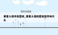 黑客入侵手机壁纸_黑客入侵的壁纸软件叫什么