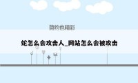 蛇怎么会攻击人_网站怎么会被攻击