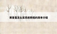 黑客是怎么装系统教程的简单介绍