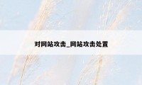 对网站攻击_网站攻击处置