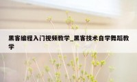 黑客编程入门视频教学_黑客技术自学舞蹈教学