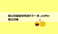 端口扫描后如何进行下一步_sniffer端口扫描